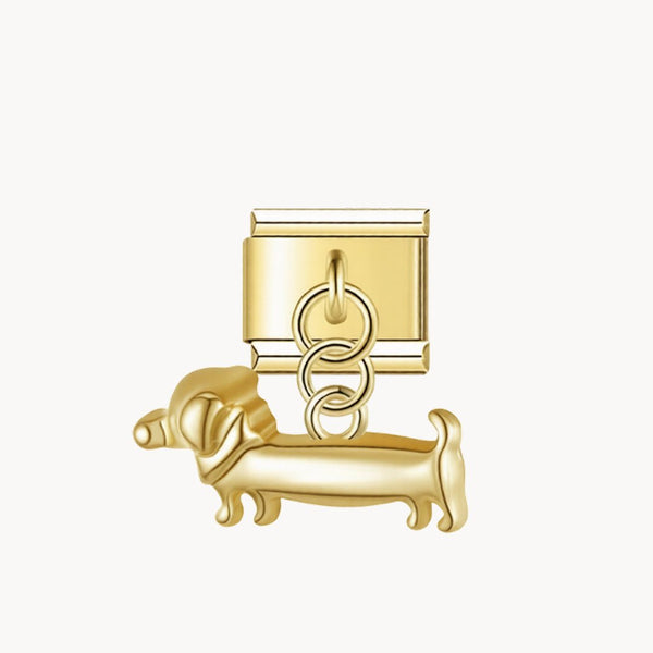 Golden Dachshund